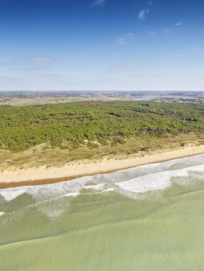 forêt d'Olonne et plage