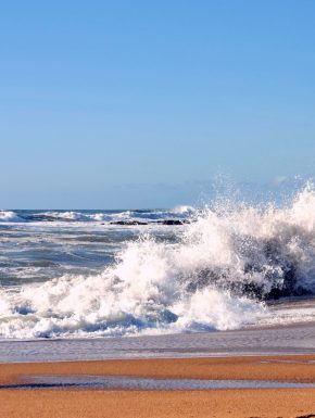 plage du tanchet près du camping