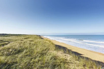 plagedesauveterre2 1 1 1 1024x683 1