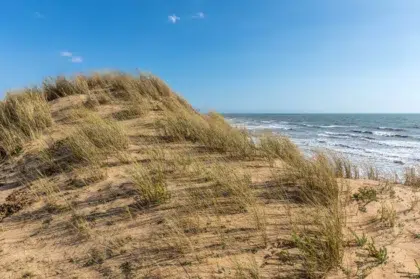 Beach sables d'olonne 3 AdobeStock 181934378